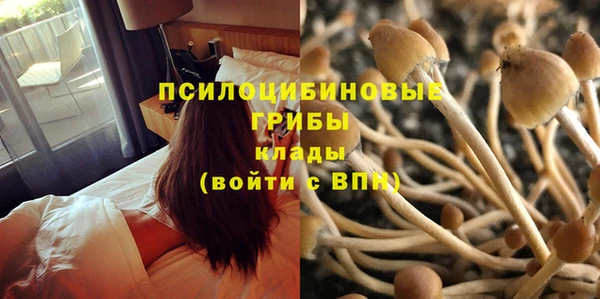 mix Аркадак