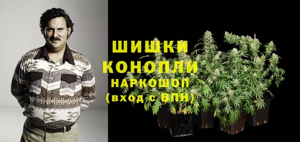 дурь Арсеньев